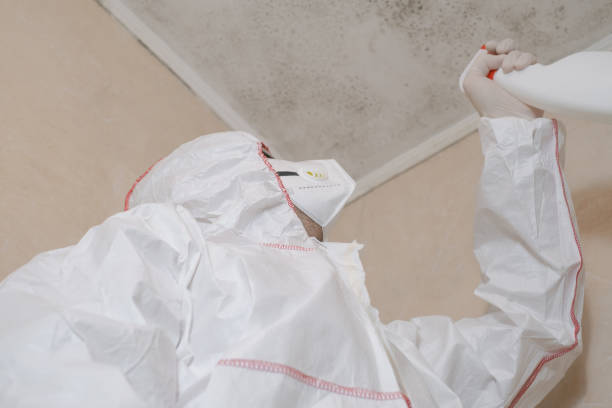 Best Office Mold Removal Services  in Cullowhee, NC